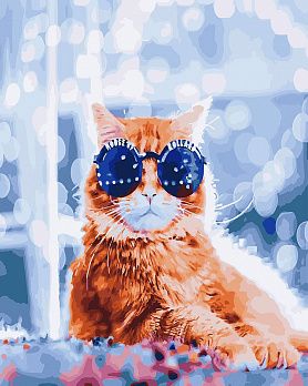 Картина по номерам Brushme Стильный кот в бокэ 26237, 40х50 см, 1 набор (SXM-038547)
