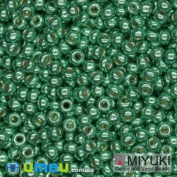 Бісер японський Miyuki круглий RR 11/0 №5105 Duracoat Galvanized, Зелений (BIS-045721)