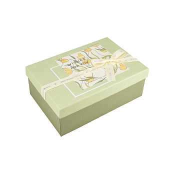 Подарункова коробка Прямокутна, 21х14х8 см, Зелена (UPK-060658)