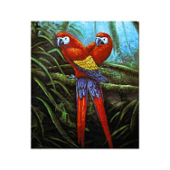 Набор для вышивания нитками, 5D Попугаи, 62х52 см (SXM-061207)