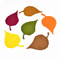 Декоративные изделия из фетра Листья березы, 8,5х4,5 см, Микс, 1 набор (FLT-051575)