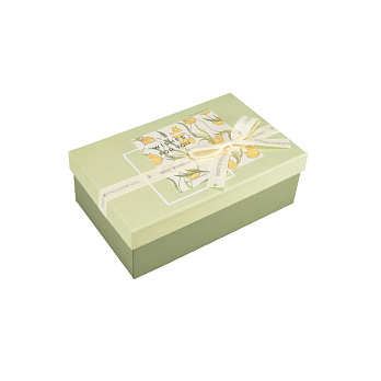 Подарункова коробка Прямокутна, 19х12х6,5 см, Зелена (UPK-060657)