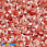 /p37856-payetki-indiya-cveti-6-mm-krasnie/