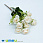 /p44835-buket-roz-33-sm-kremoviy/