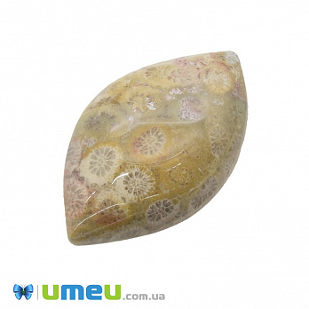 Кабошон нат. камінь Корал скам'янілий, Човник, 34х21 мм (KAB-036168)