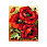 /p61184-nabor-almaznoy-zhivopisi-na-kartone-25x21-sm/